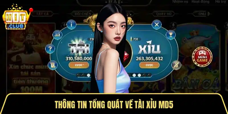 Thông tin tổng quát về tài xỉu MD5