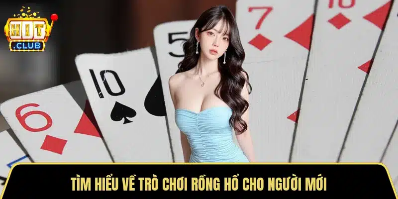 Tìm hiểu về trò chơi rồng hổ cho người mới